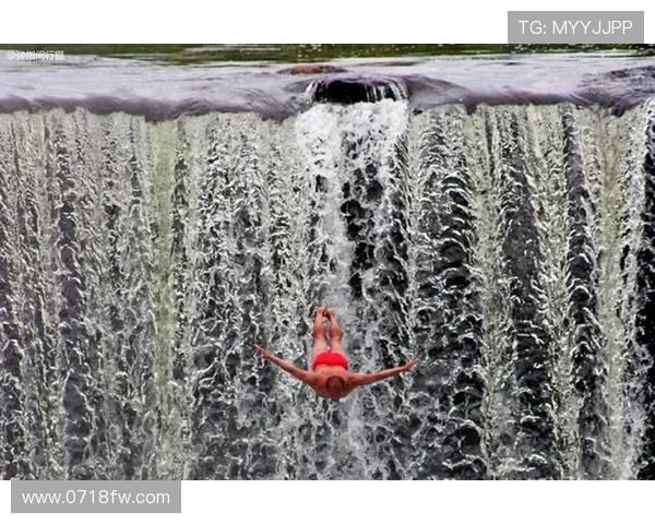 从惊险到艺术全面解析跳水运动的技巧心理与美学魅力