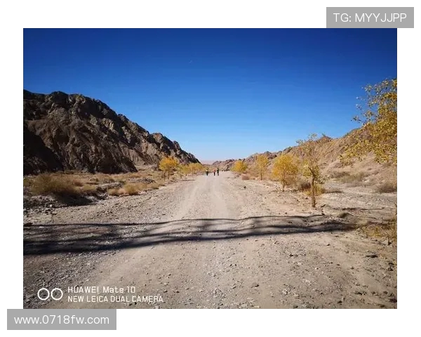 与杨芳畅谈滑板生涯的点滴与挑战探索她的梦想与坚持之路