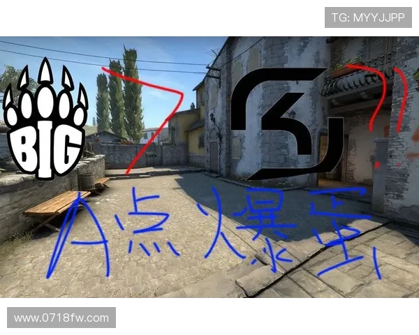 VS莱维德斯法国队的精彩对决与战术分析全景解析